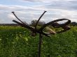 20201028_132749.jpg