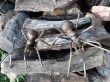 20201028_090052.jpg